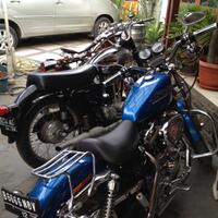 harley-davidson-lovers--enthusiast