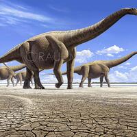 10-jenis-dinosaurus-paling-besar