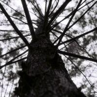 diskusi-kamar-gelap-film-bw---part-2