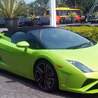 bawa-lamborghini-pengacara-hotman-paris-temui-jokowi