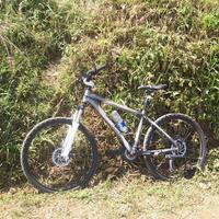 official-polygon-premier-all-series-users