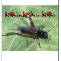 retro-classics--vintage-roadbikes-post-here