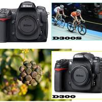 info-kecil-cameracoid