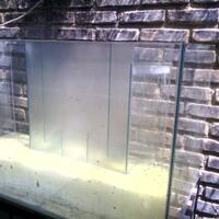 aquarium-thingy-for-starter-dari-newbie-untuk-newbie