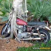 pic-akibat-parkir-motor-terlalu-lama