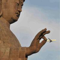 info-kecil-cameracoid