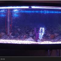 filter-ask-n-sharing---part-1