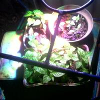 post-image