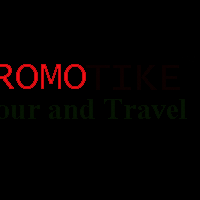 bisnis-travel-gratis