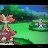 3ds-pokmon-x--pokmon-y