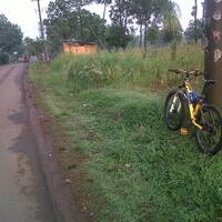 post-image