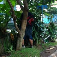 fixedfurious-pertanyaan-tentang-fixie-disini---part-1