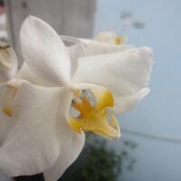 berfoto-dengan-kamera-pocket