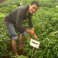 share-bisnis-via-whatsapp-newbie-pro-silahkan-masuk