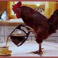 176917581769-kaskuser-regional-jepara-wajib-prime-id-176917581769---part-1