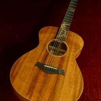 all-about-acoustic-guitar