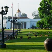 7-tempat-wisata-bogor-yang-wajib-dikunjungi