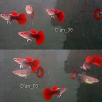 1769-anda-bertanya-kami-menjawab-1769