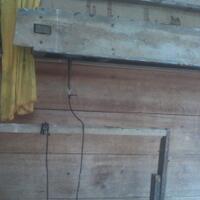 thread-khusus-burung-hantu-owl-kaskus---part-5