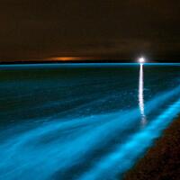 misteri-danau-bewarna-biru-neon-di-australia