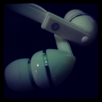 pic-mencoba-lebih-dekat-dengan-serangga-menggunakan-kamera-hp