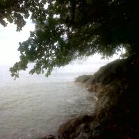 post-image