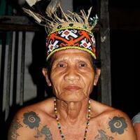 tradisi-adat-dayak