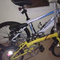 official-polygon-premier-all-series-users