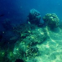 tips-memaksimalkan-smartphone-untuk-foto-liburan