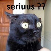 nikah-muda-yang-jomblo--punya-pacar-wajib-masuk---gt-siap2-kepingin