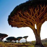 keindahan-panorama-alam-yang-sulit-di-mengerti