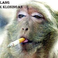 spectre-soccer-room-2013-2014------part-1