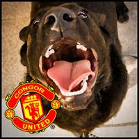 spectre-soccer-room-2013-2014------part-1