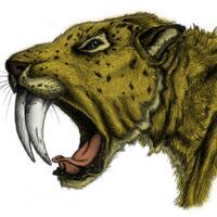 share-seputar-mempelajari-memahami-seni-spirit-keeper---part-1