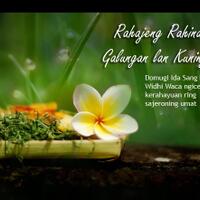 982998299829-white-cat-paws-982998299829---part-11---part-1