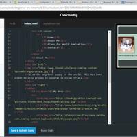 ask-live-preview-ketika-develop-website-seperti-codecademy