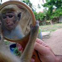 adakah-yang-berubah-dari-pks-saat-ini