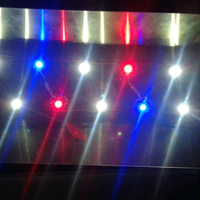 aquascape-pesona-taman-di-dalam-akuarium-must-see