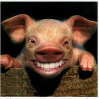 penerobos-jalur-transj-didenda-rp-1-juta-ahok-nggak-masalah