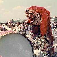 2-anggota-tni-dipenjara-karena-miliki-harimau-sumatera