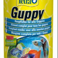 guppy-lovers---part-2