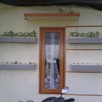 all-about-hidroponik