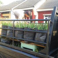 belajar-mencari-penghasilan-tambahan