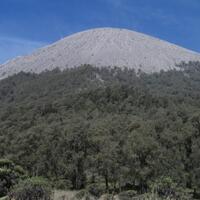 jalur-pendakian-gunung-semeru-yg-suka-expedisi-masuk