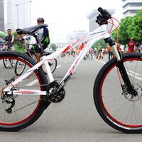 share-pict-wimcycle-agent-series