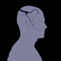 post-image