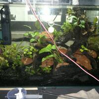 aquascape-for-everyone-learning-and-sharing