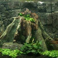 para-penjual-dan-pembeli-di-jogja-ayo-berkumpul-di-sini