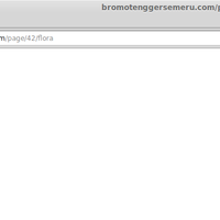 website-resmi-tn-bromo-tengger-semeru-dihack