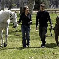 hewan-modern-versi-quotraksasaquot-yang-pernah-hidup-di-bumi